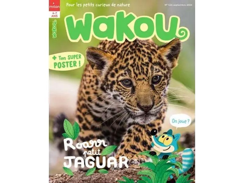 Wakou magazine