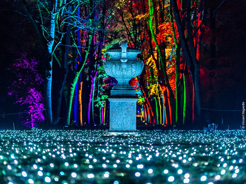 Lumières en Seine